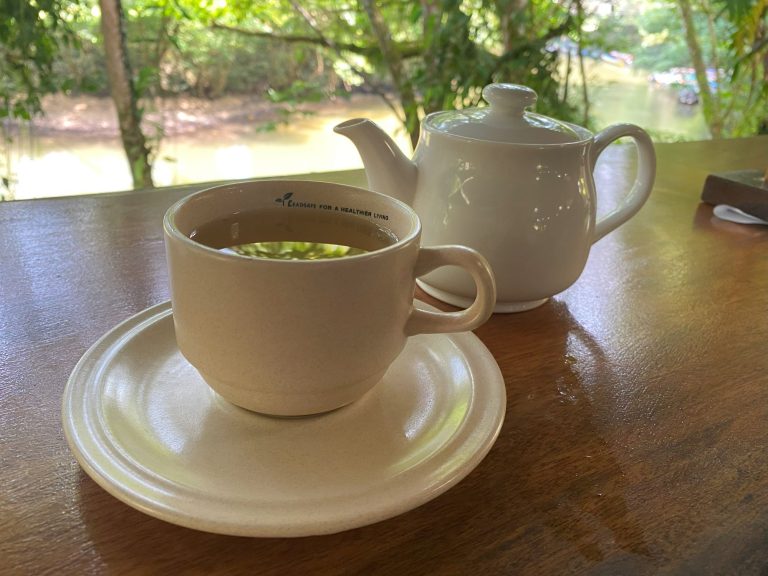 Gunung Mulu National Park Cafe Breakfast, Lunch, Dinner Menu with Prices July 2023