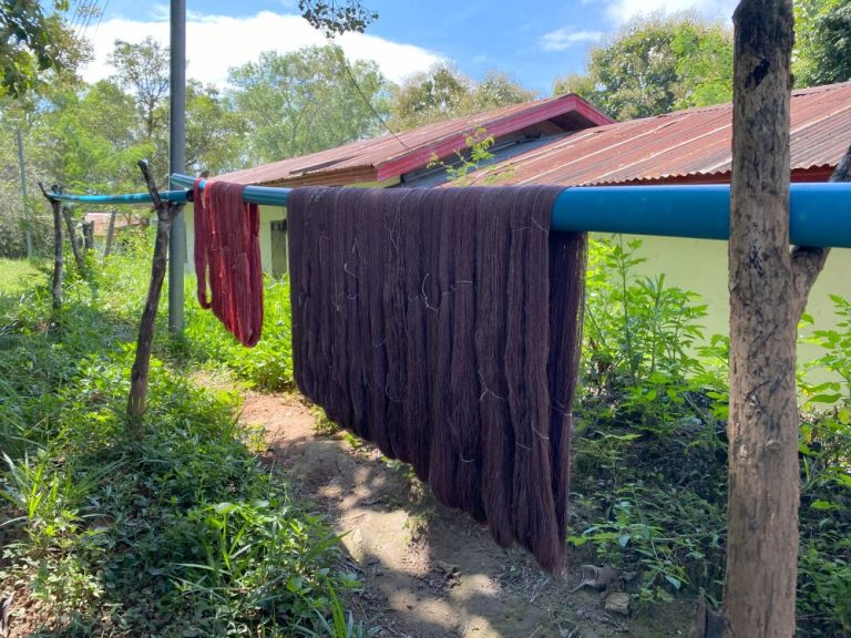 Visiting Mulberries Organic Silk Farm in Phonsavan, Laos