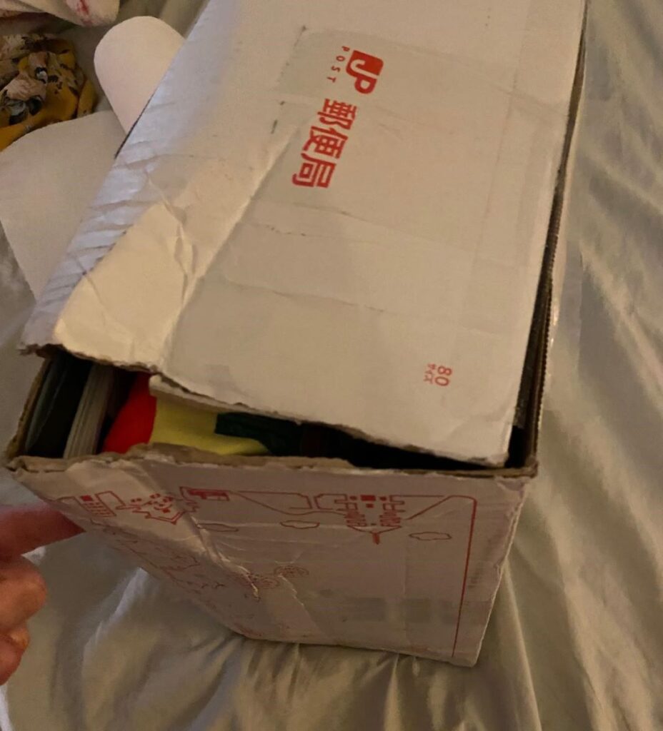 A Japan Post cardboard shipping box, ripped open along the corner. The box is very banged up and has a lot of creases and marks. It's important to tape every corner and flap on a shipping box so it'll hold up in transit.