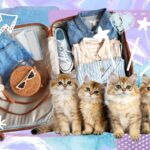 Packing List for Full-Time Petsitters